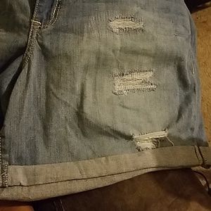 Lane Bryant Shorts NWT